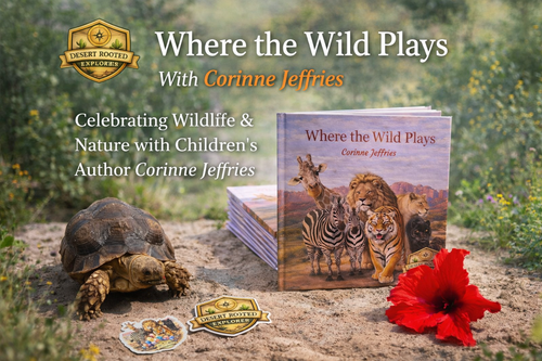 Where the Wild Plays Explorer Pack