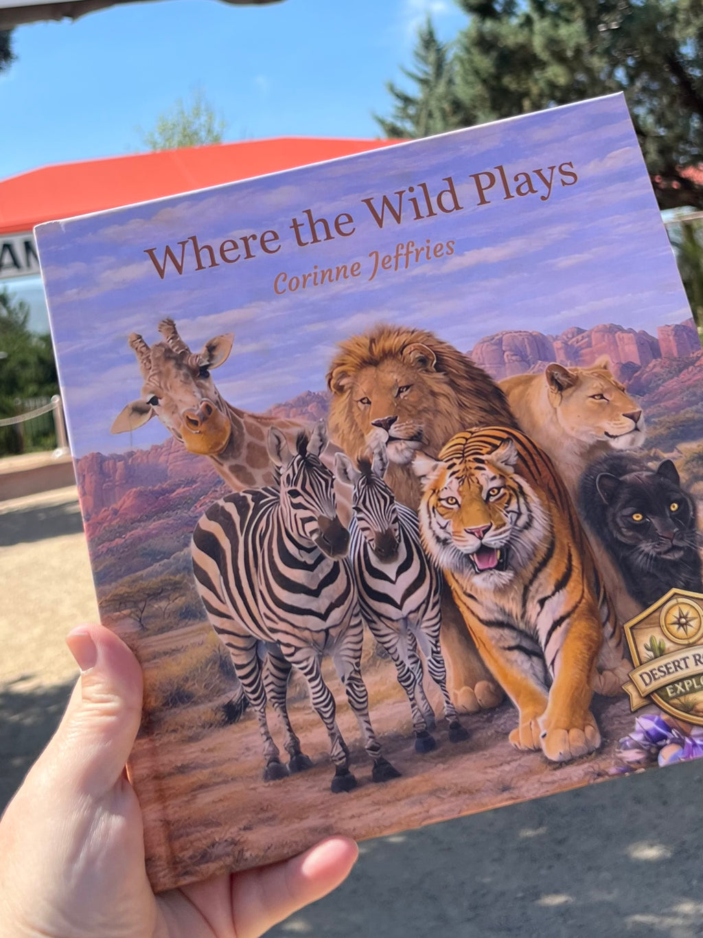 BOOK: Where the Wild Plays